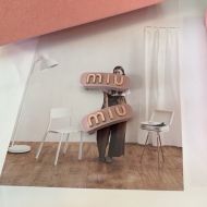 Miu Miu Hair Clips With Enamel Logo In Plexiglass And Metal Pink